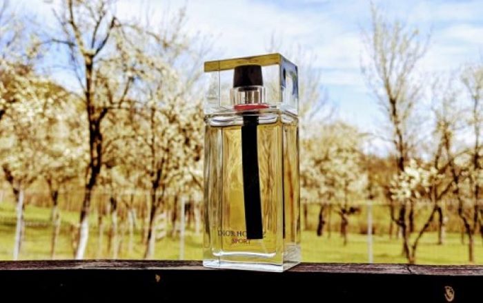 dior homme sport
