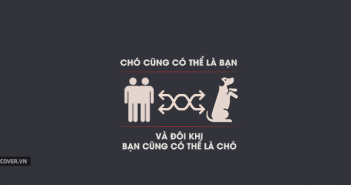 Những stt chửi khéo thâm độc về bạn bè chó đểu cáng cực chất