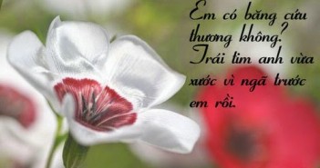 Những bài thơ tỏ tình dễ thương ngọt ngào và lãng mạn nhất