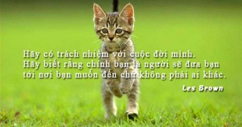 Tuyển tập những câu nói ý nghĩa – Danh ngôn hay nhất về cuộc sống đáng để xem và học tập
