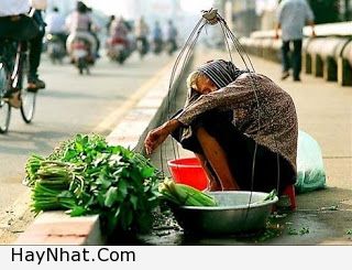 Bà Cụ Bán Rau