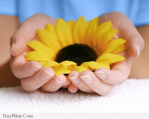 Câu chuyện về CHO và NHẬN