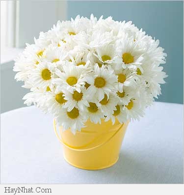 Mẹ ơi, đừng bao giờ gục ngã! 0