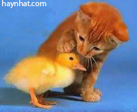 Sự thật về sếp của chúng ta :-D 0