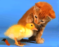 Sự thật về sếp của chúng ta :-D 1