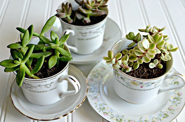 +25 ý tưởng tận dụng đồ cũ để trang trí nhà ngày tết không thể bỏ qua
6