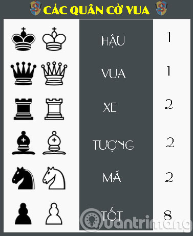 Những kiến thức cơ bản trong môn cờ vua
1