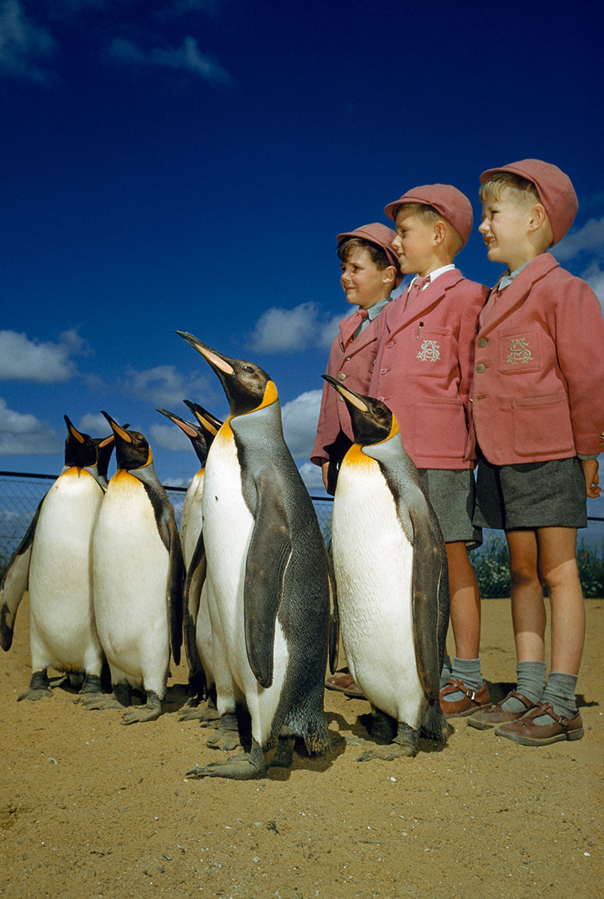 Cảm nhận vẻ đẹp cuộc sống từ 25 bức ảnh "chưa được công bố" của National Geographic
17