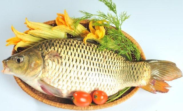 Muốn làn da không bị nếp nhăn, trẻ lâu hãy ăn những thực phẩm này
0