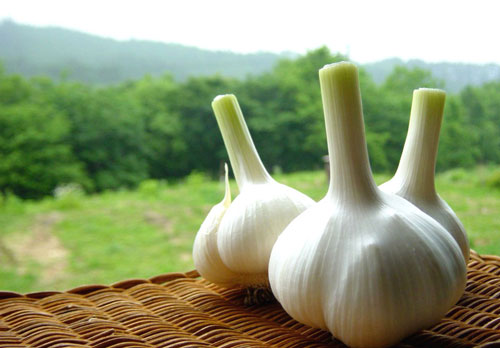 Muốn làn da không bị nếp nhăn, trẻ lâu hãy ăn những thực phẩm này
4