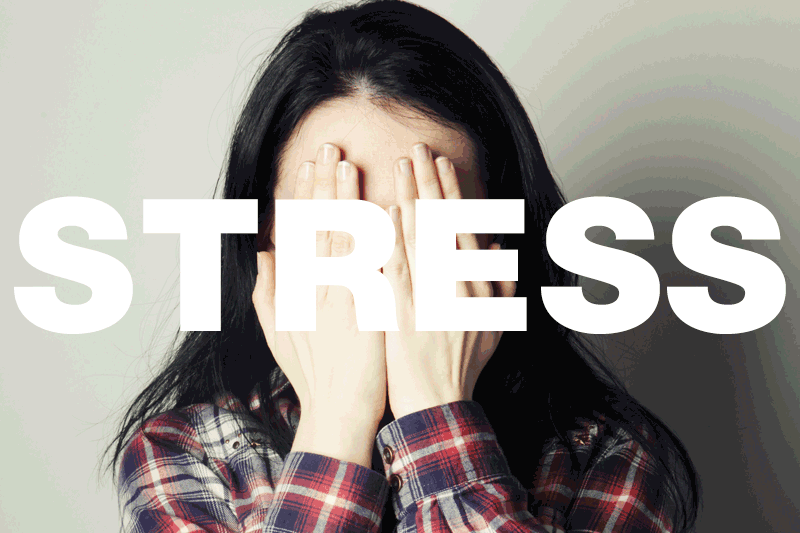 Khi bạn cảm thấy Stress, hãy ăn những thực phẩm này
0