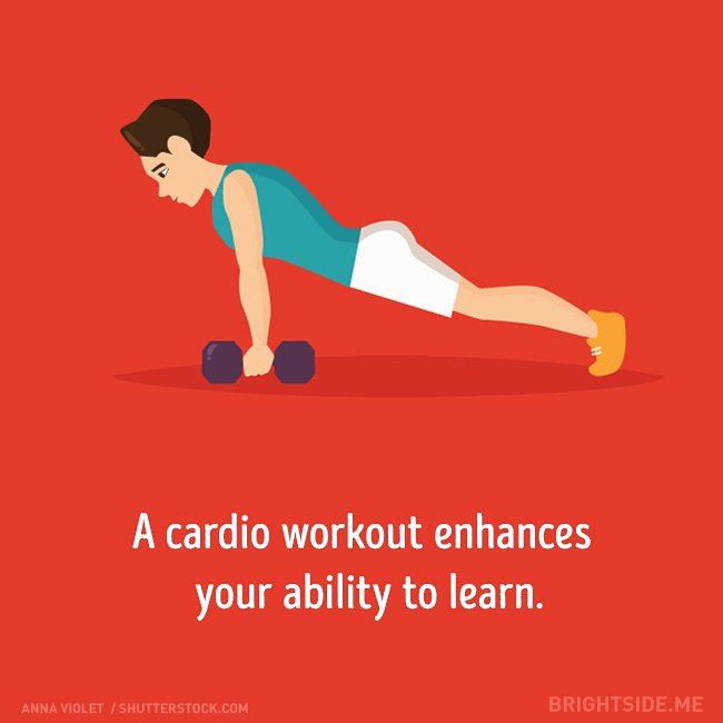 8 lợi ích của tập Workout đối với não bộ
2