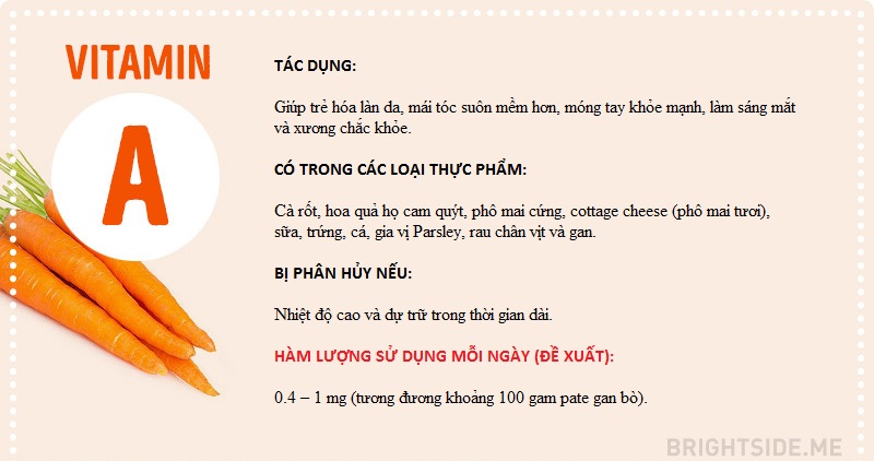 Vitamin và tất cả những điều bạn cần biết
0
