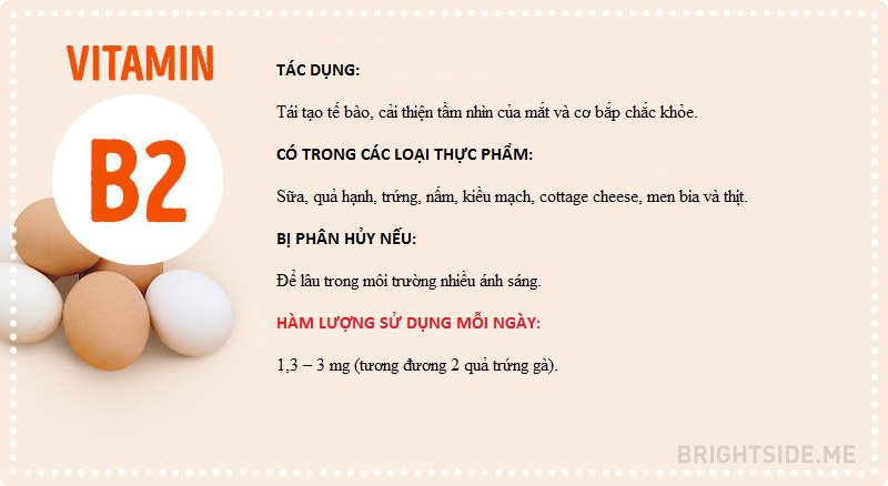 Vitamin và tất cả những điều bạn cần biết
2