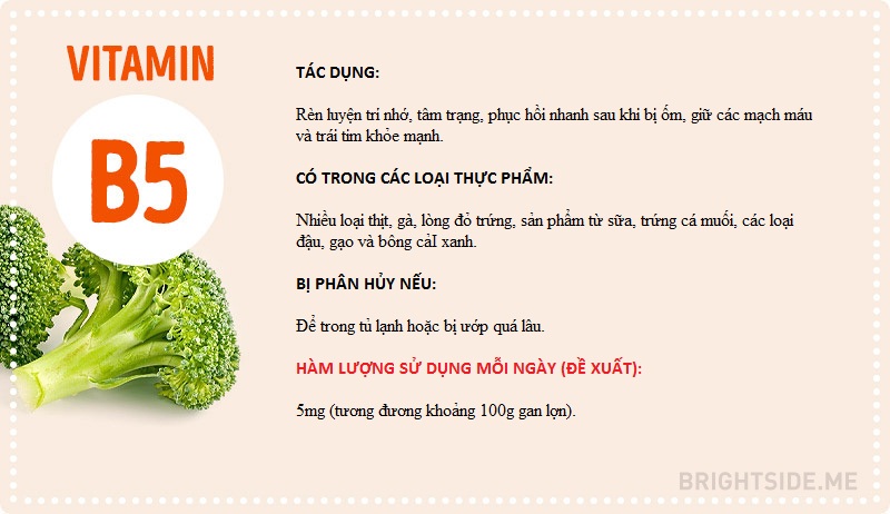 Vitamin và tất cả những điều bạn cần biết
3