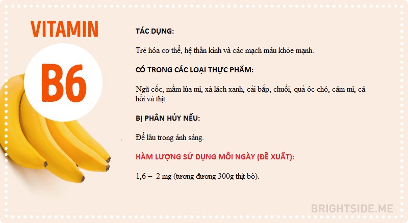 Vitamin và tất cả những điều bạn cần biết
4