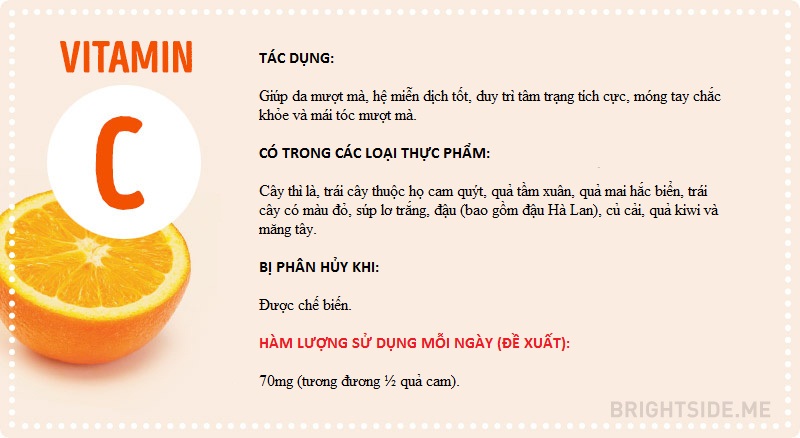 Vitamin và tất cả những điều bạn cần biết
6