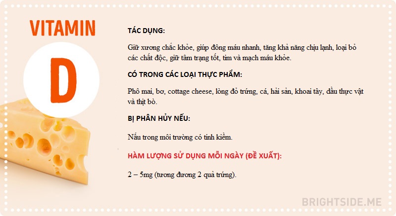 Vitamin và tất cả những điều bạn cần biết
7