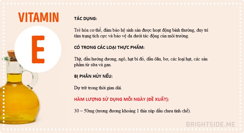 Vitamin và tất cả những điều bạn cần biết
8