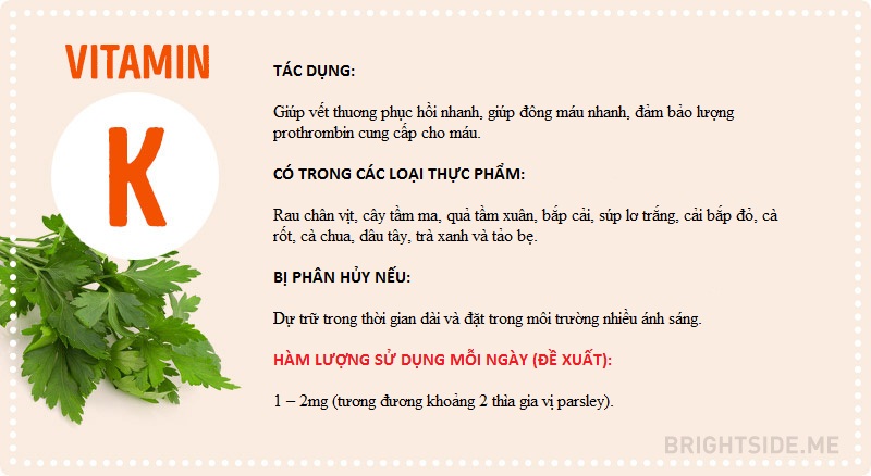 Vitamin và tất cả những điều bạn cần biết
9