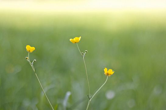 
                        10 câu nói khiến mỗi ngày của bạn đều trở nên ý nghĩa
                     6