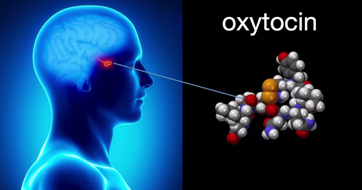 Chuyên gia tâm lý đến từ đại học Stanford: Làm thế nào để biến căng thẳng thành “bạn”?
1