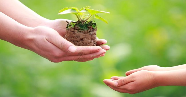 10 cách để bạn làm chủ cuộc sống của chính mình
2
