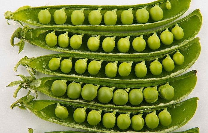 10 loại thực phẩm giúp tăng cơ bắp cho nam giới
3