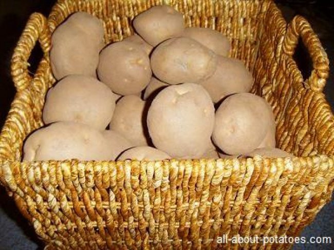 18 mẹo nhỏ giúp bảo quản rau quả tươi lâu
10
