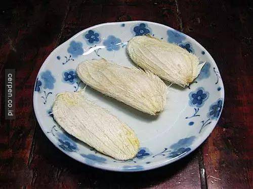 Cách trồng xoài và nhãn từ hạt siêu nhanh
1