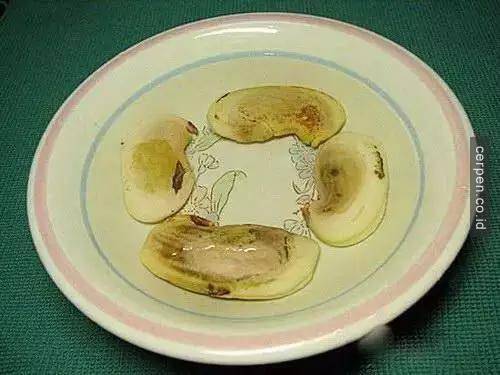 Cách trồng xoài và nhãn từ hạt siêu nhanh
4
