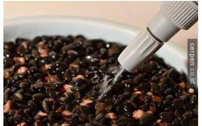 Cách trồng xoài và nhãn từ hạt siêu nhanh
13