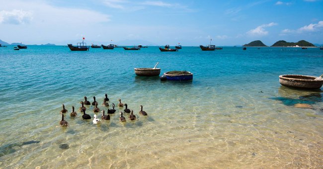 Đến đảo Điệp Sơn khám phá con đường dưới biển độc đáo nhất Việt Nam
3