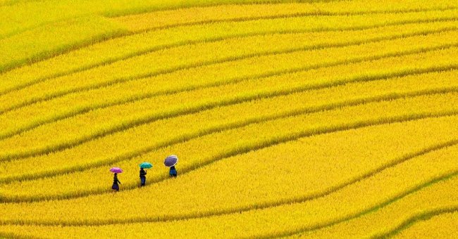 5 điểm đến du lịch tuyệt đẹp trên vùng núi Tây Bắc
2