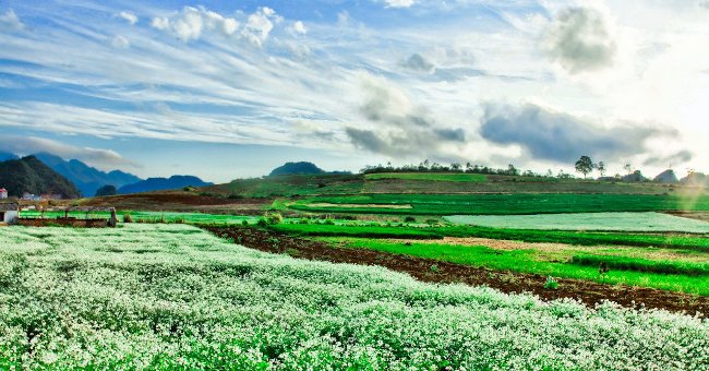 5 điểm đến du lịch tuyệt đẹp trên vùng núi Tây Bắc
3