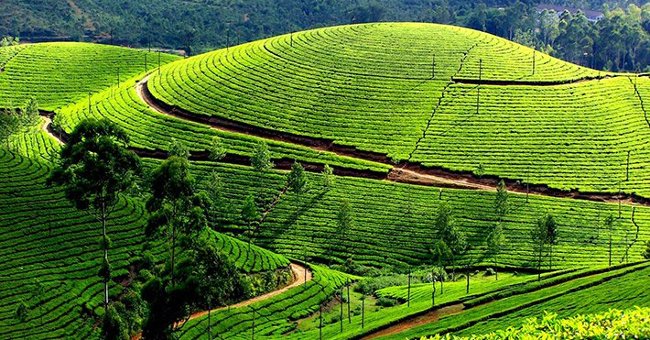 5 điểm đến du lịch tuyệt đẹp trên vùng núi Tây Bắc
4