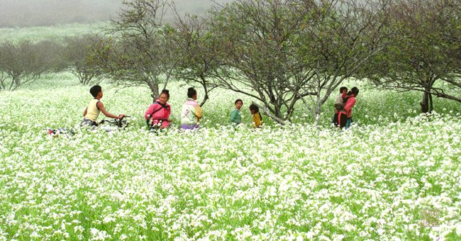 5 điểm đến du lịch tuyệt đẹp trên vùng núi Tây Bắc
5