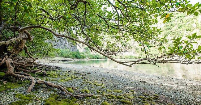 Khám phá đảo Mắt Rồng - hoang đảo đẹp nhất vịnh Bắc Bộ
2