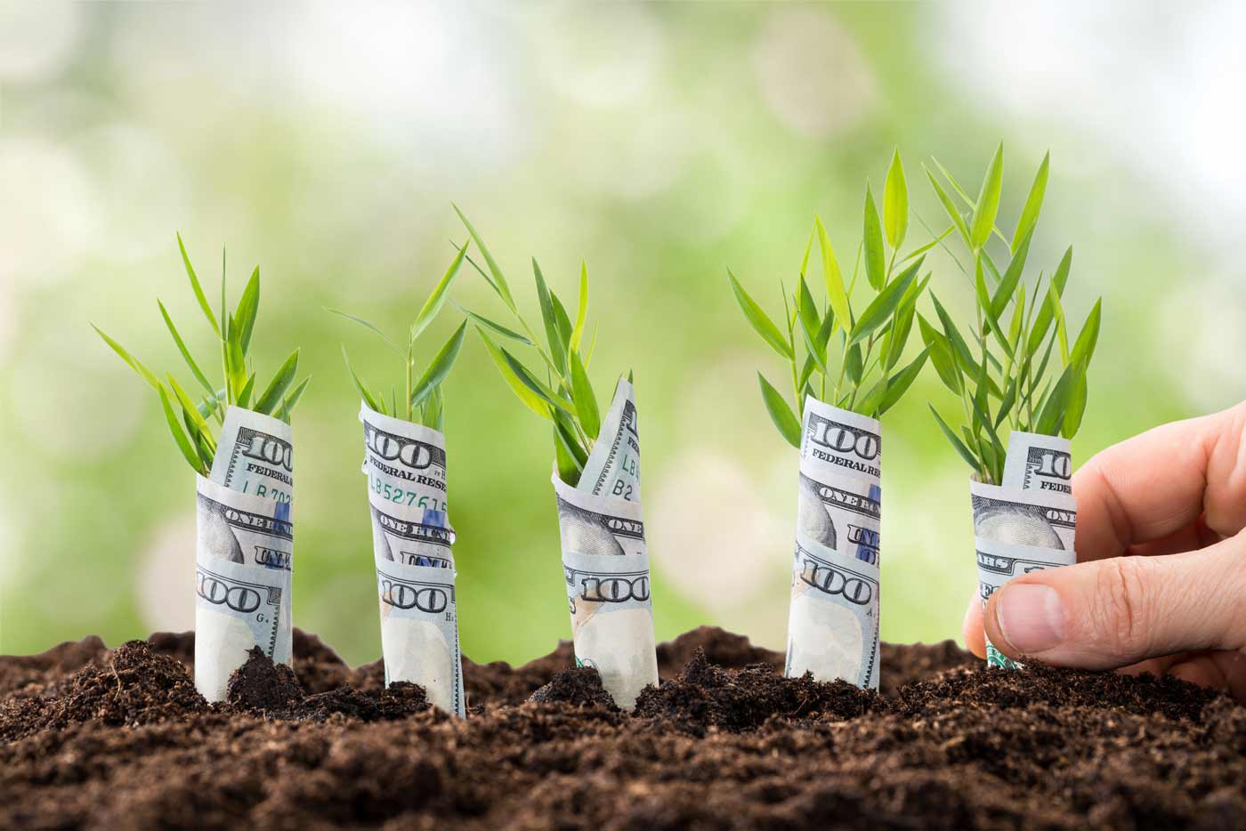 3 lời khuyên giúp startup vượt qua giai đoạn đầu đầy sóng gió
1