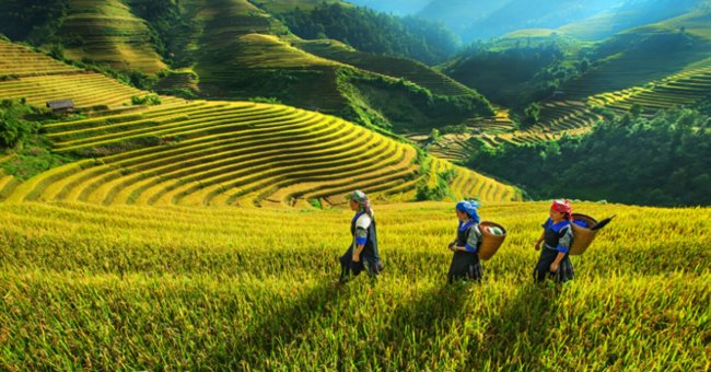 8 điều không thể bỏ qua khi du lịch "phượt" Hà Giang
2
