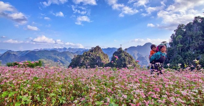 8 điều không thể bỏ qua khi du lịch "phượt" Hà Giang
4
