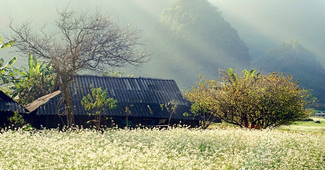 Những địa điểm lý tưởng cho tuần trăng mật lãng mạn tại miền Bắc
0