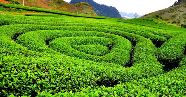 Những địa điểm lý tưởng cho tuần trăng mật lãng mạn tại miền Bắc
1