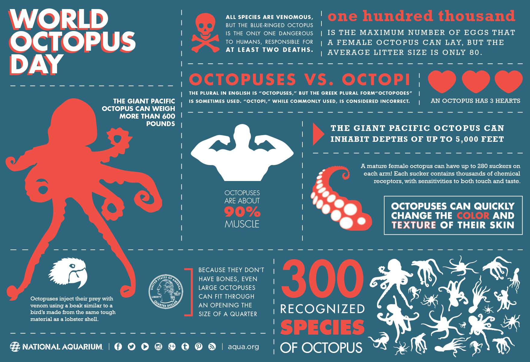 12 bí quyết tạo Infographic “hút hồn” người xem
1