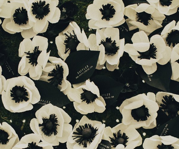 Cách làm bó hoa poppy giấy tuyệt đẹp cho ngày 20 – 10
0
