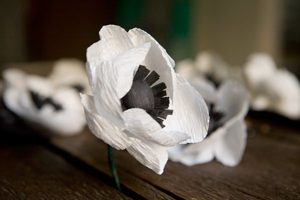 Cách làm bó hoa poppy giấy tuyệt đẹp cho ngày 20 – 10
6