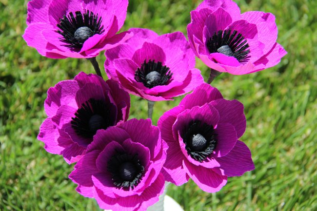 Cách làm bó hoa poppy giấy tuyệt đẹp cho ngày 20 – 10
9