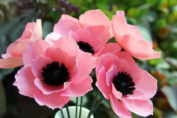 Cách làm bó hoa poppy giấy tuyệt đẹp cho ngày 20 – 10
10