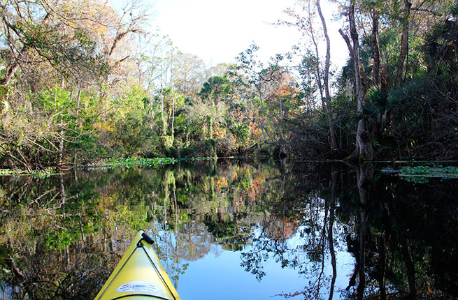 6 hồ du lịch tự nhiên lý tưởng ở Florida
0