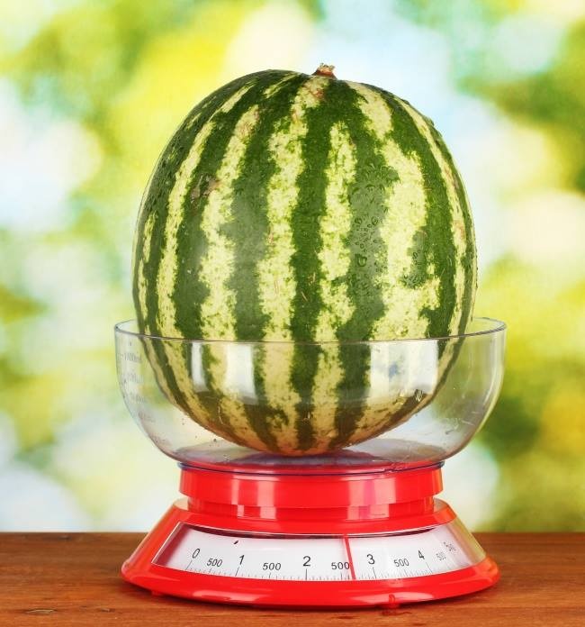 
                        Làm thế nào để giữ dưa hấu tươi ngon trong vòng 6 tháng
                     0